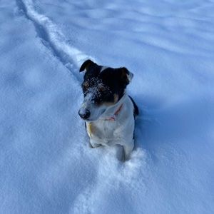 Meet your Posher, Amy